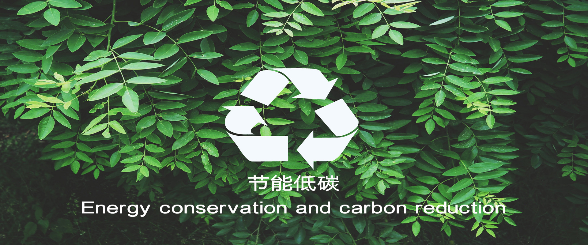 尊龙凯时【首页官网】人生就是博!